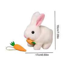 [SG] Cute Bunny Rabbit With Carrot Toy Squeaking Toy Running Toy
